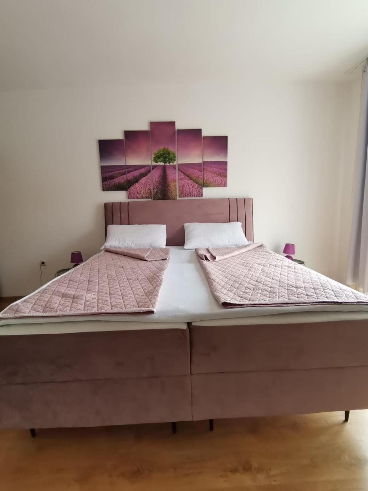 זאדאר Apartman Franc מראה חיצוני תמונה